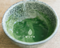 moya matcha